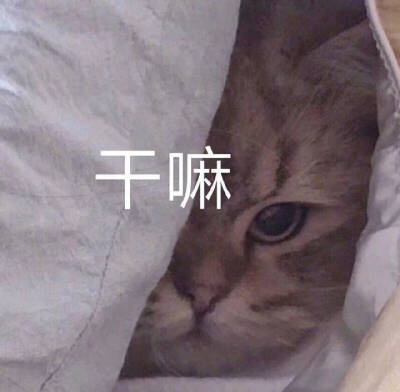 周末愉快๏[-ิ_•ิ]๏