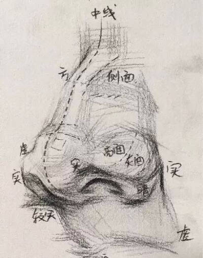 素描头像