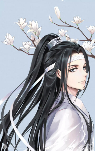 魔道祖师，蓝忘机，蓝湛。