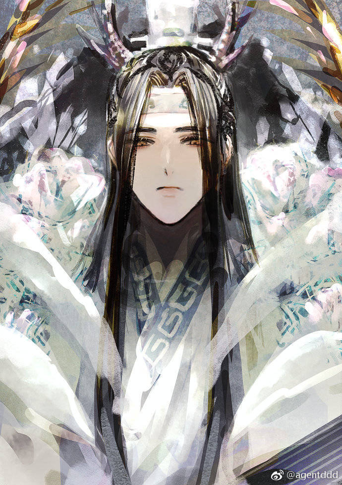 魔道祖师，蓝忘机，蓝湛。