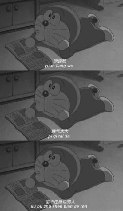 壁纸鸭（有点糊鸭）