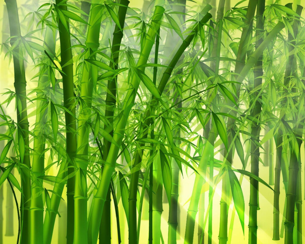 绿色壁纸 背景图