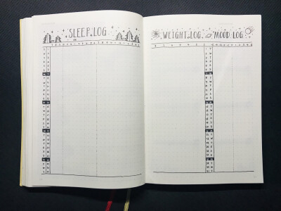 bullet journal