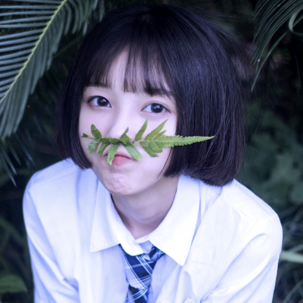 二传注明dt沈恋雪