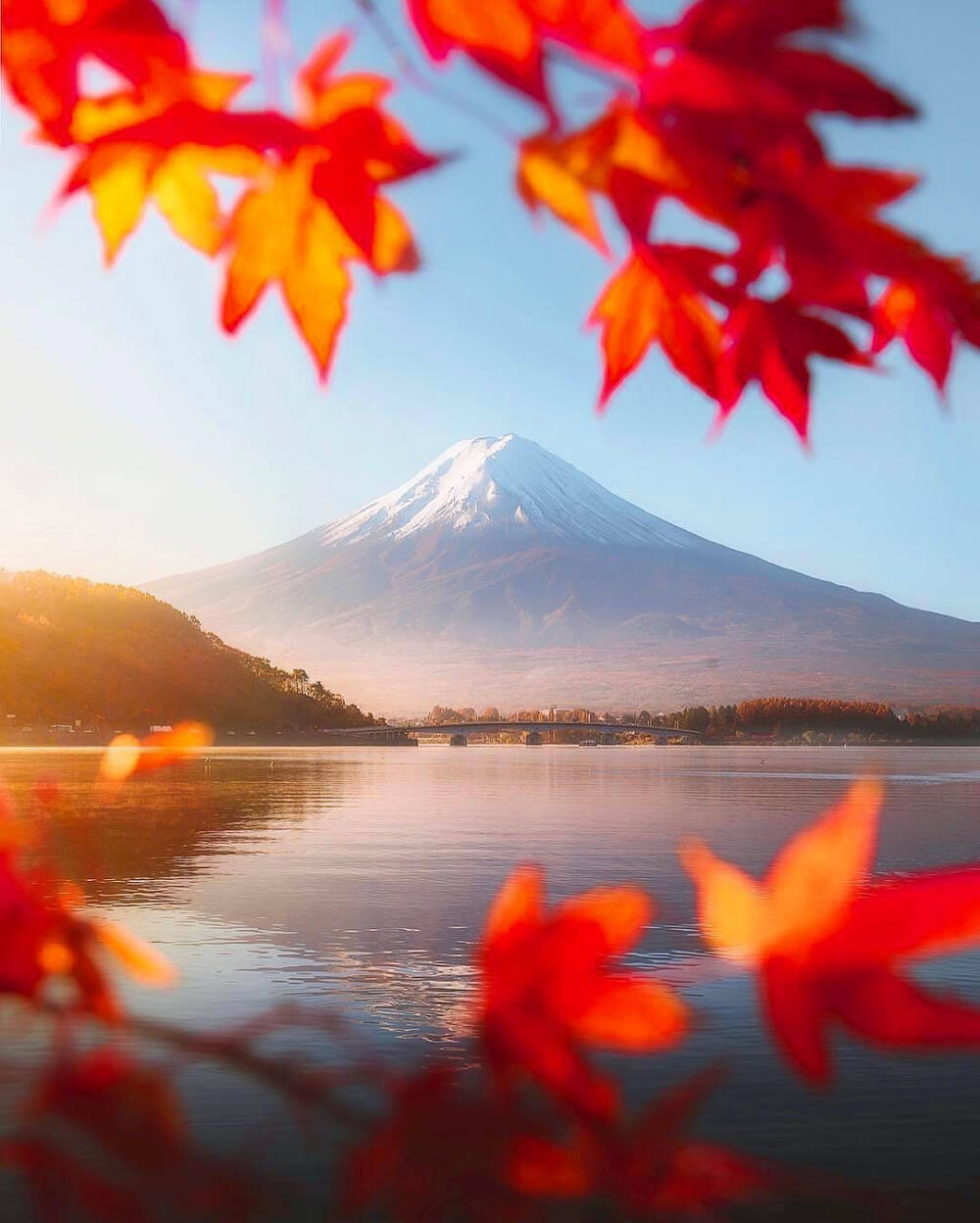 富士山