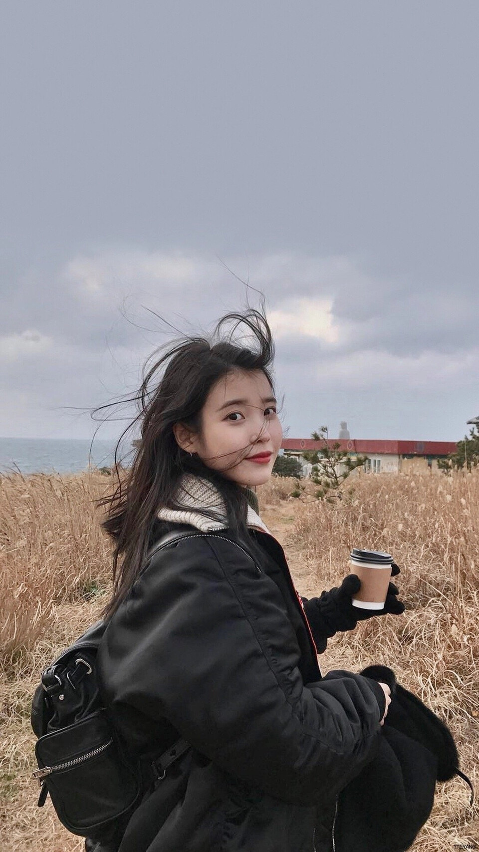 iu