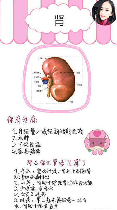 你的器官需要打扫了吗？减脂健身必备贴~