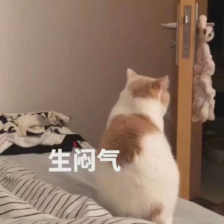小猫咪表情包 存图留赞