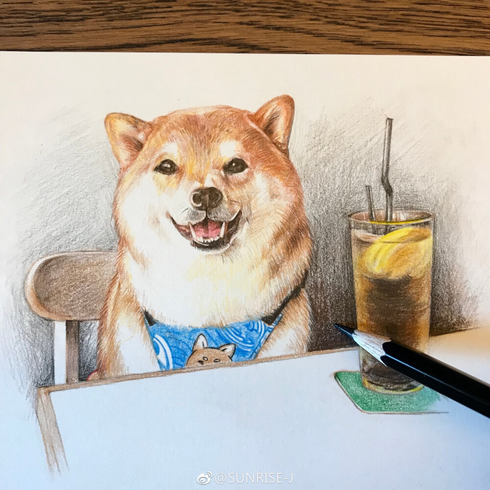 彩铅柴犬
不知不觉已经画完两个本子