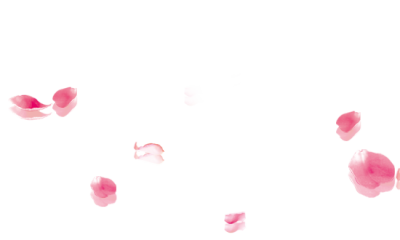 #(彩虹) 古风素材