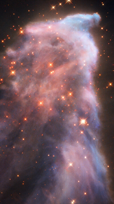 IC 63 女巫星云
Ghost of Cassiopeia
距离地球550光年
拍摄哈勃太空望远镜