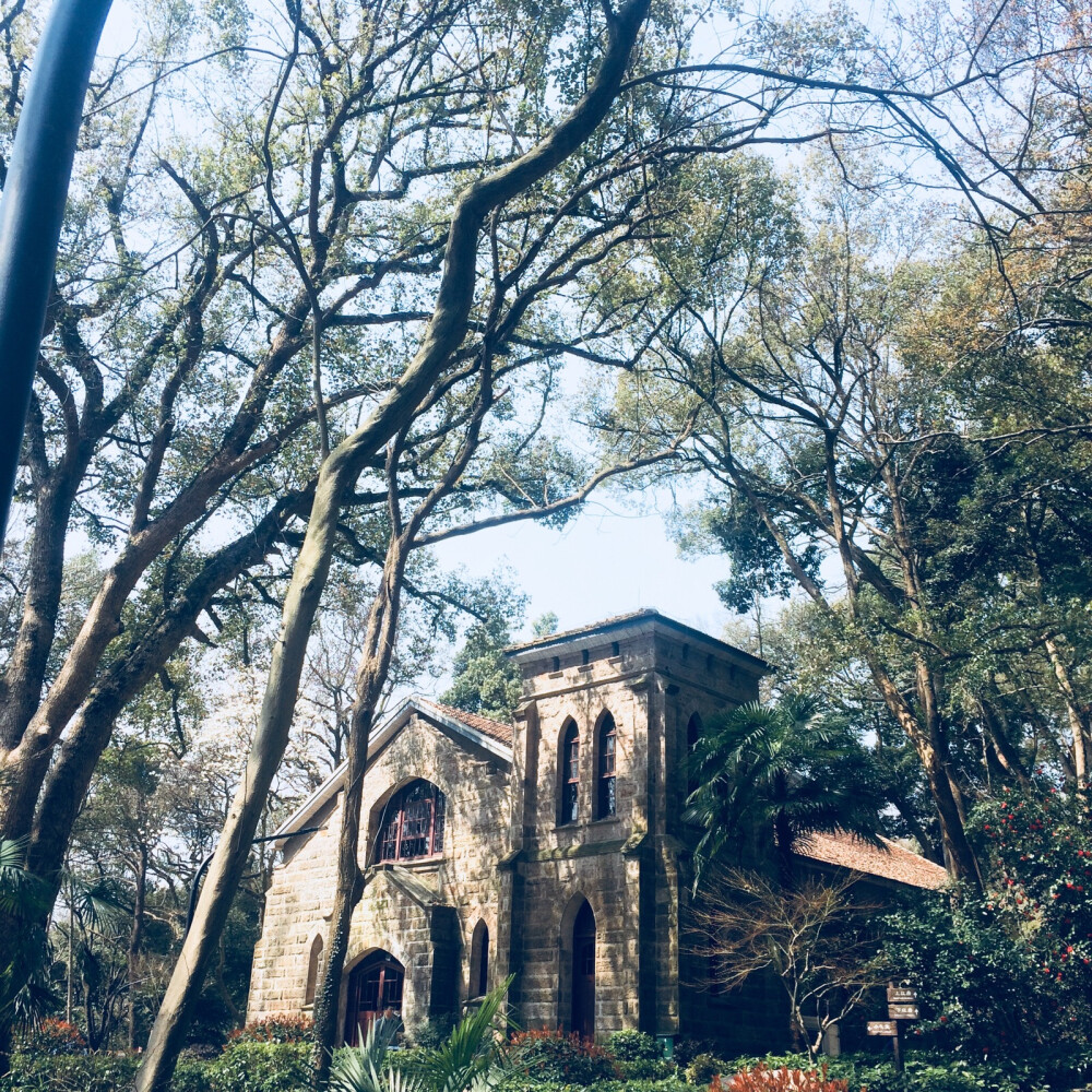 浙大之江校区法学院～陪发小研究生复试的时候顺手拍的，校园环境真的美