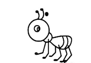 蜜蜂蚂蚁