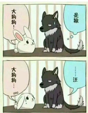 狼