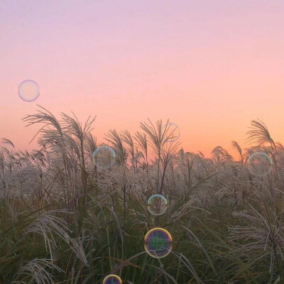 夕阳 壁纸 泡泡