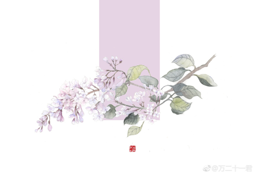 【花间集】#丁香花# 作者：万二十一君（沉迷填海的万代）