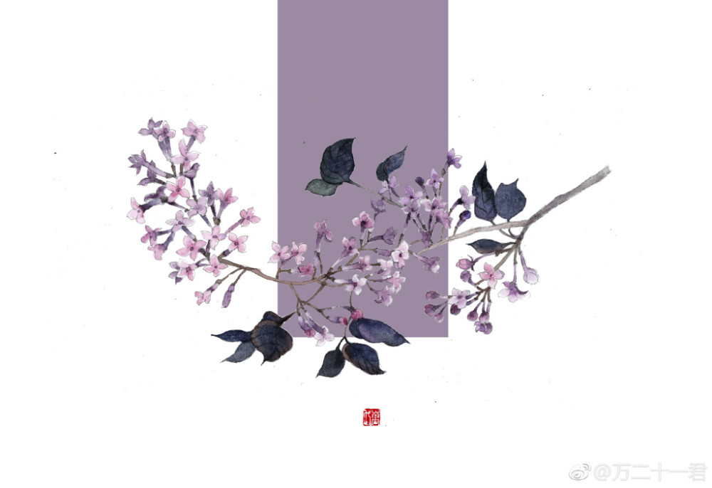 【花间集】#丁香花# 作者：万二十一君（沉迷填海的万代）