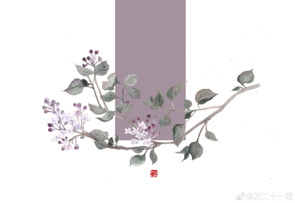 【花间集】#丁香花# 作者：万二十一君（沉迷填海的万代）