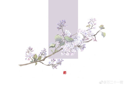 【花间集】#丁香花# 作者：万二十一君（沉迷填海的万代）