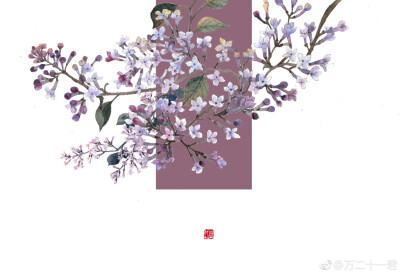 【花间集】#丁香花# 作者：万二十一君（沉迷填海的万代）