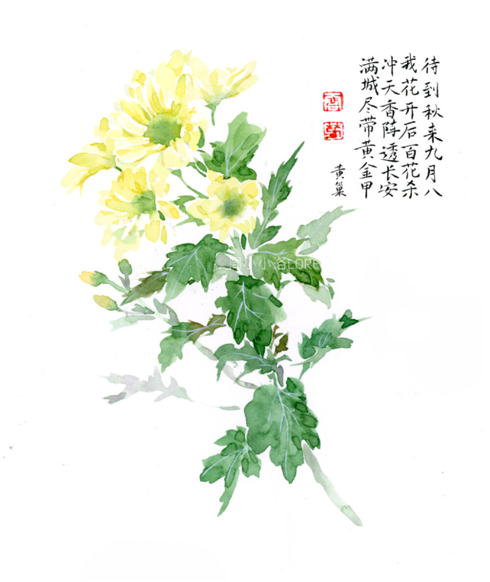 【花间集】作者：周小小洛