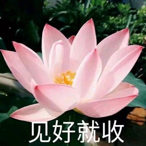 日常中老年头像
沙雕头像