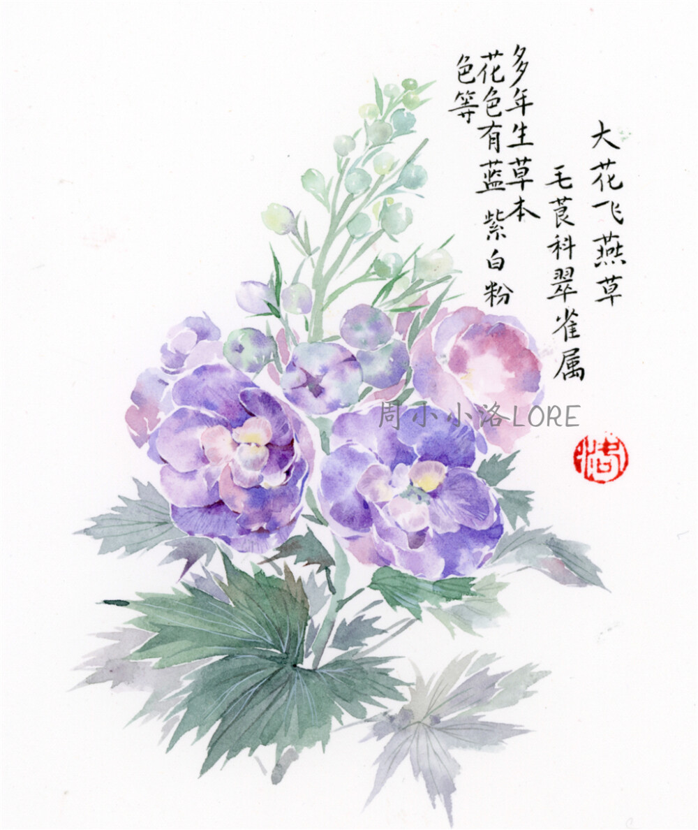 【花间集】作者：周小小洛