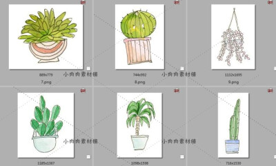 彩铅春天小女孩插花绿色多肉盆栽植物装饰画PNG设计素材png372