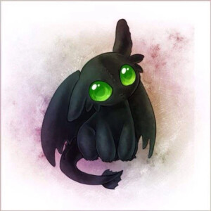 Toothless❤️