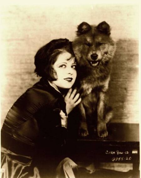 克拉拉鲍
Clara Bow 1905-1965年
1924年WAMPAS Baby Stars 第1名