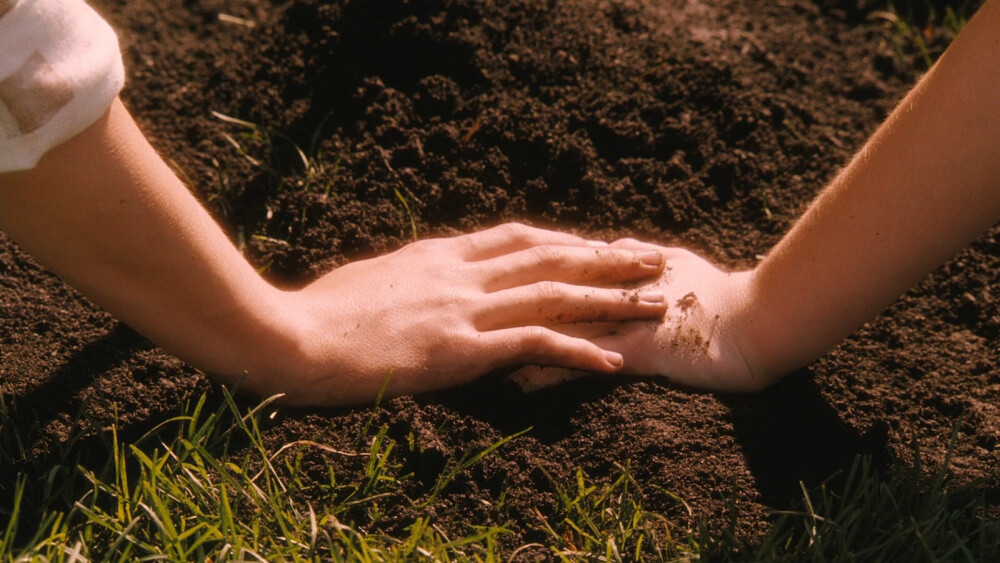 电影《怦然心动》自截