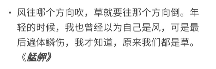 乃婉/ 谢谢你陪我追过梦 哪怕终点不是你