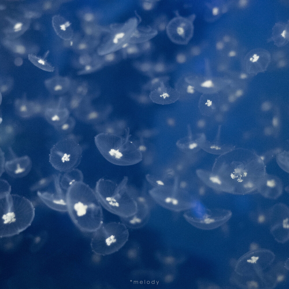 侵删来自我喜欢的一些博主