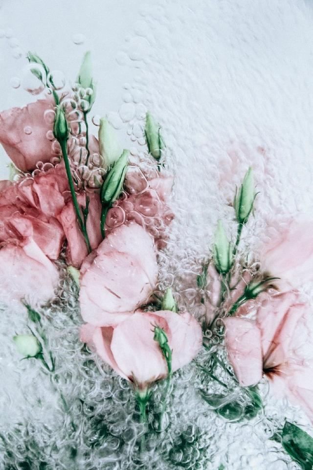 只管走下去，不必逗留着，去采花朵来保存，因为这一路上，花朵还会继续绽放。--泰戈尔