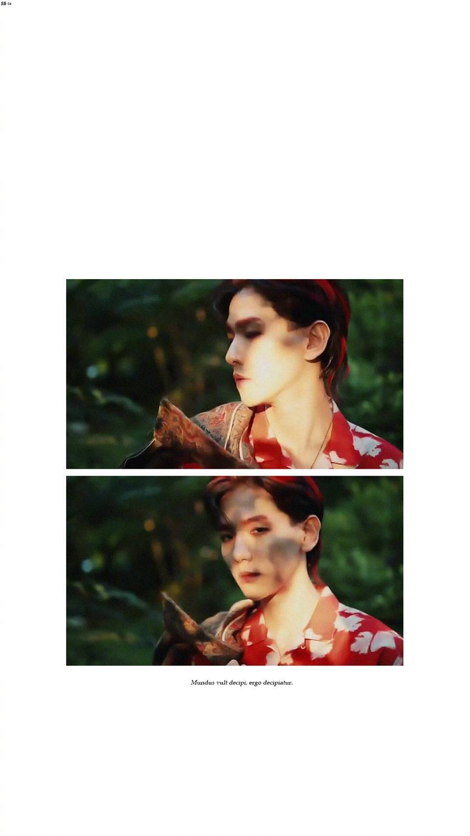 exo边伯贤壁纸kokobop转载自网络