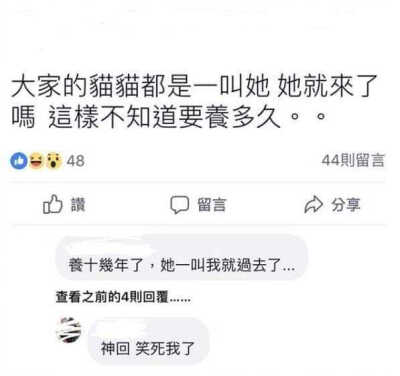 这神回复笑死我了...