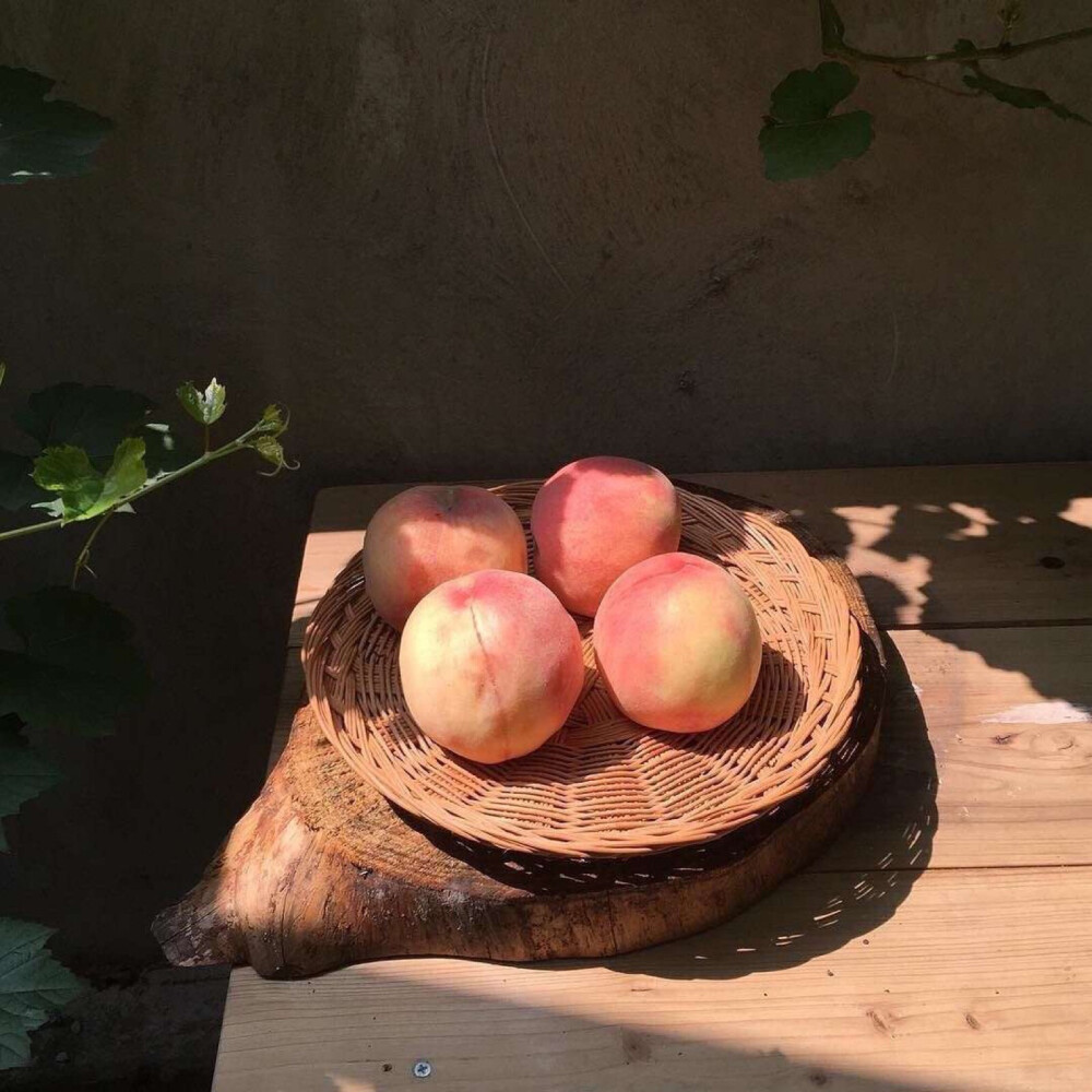 静物 头像 风景写生