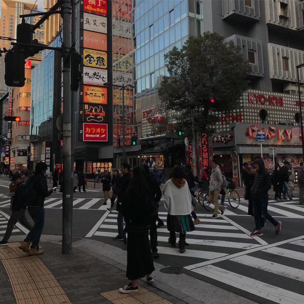 静物 头像 风景写生