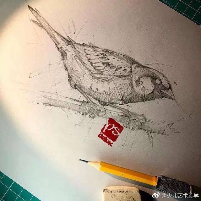 素描动物结构。