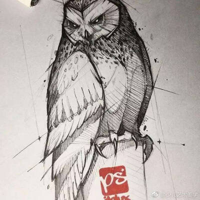 素描动物结构。