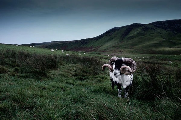 Nils Leithold美丽的苏格兰高山风光摄影欣赏