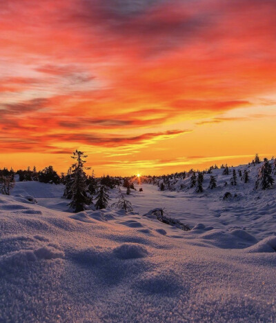 挪威的雪后夕阳