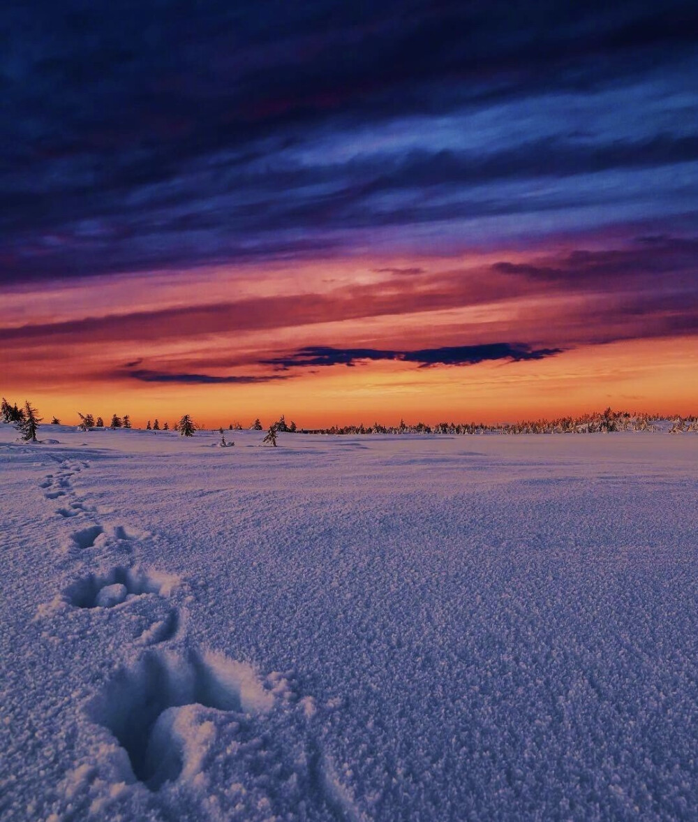 挪威的雪后夕阳