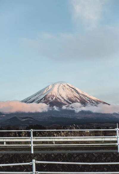 風が吹きだした