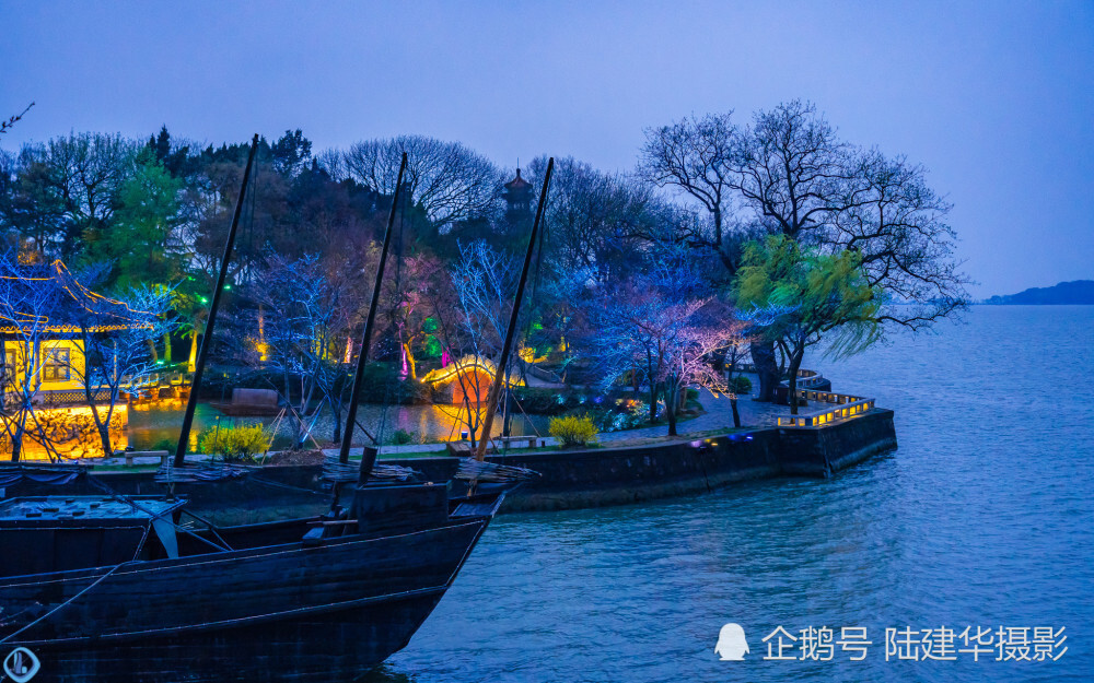 花间灯下，太湖鼋头渚夜晚赏樱原来可以这么美