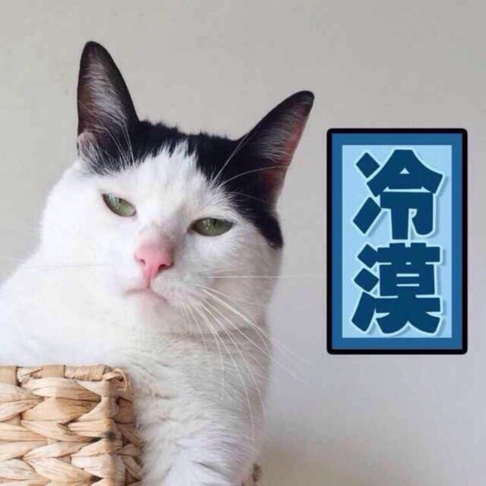 猫咪情侣头像