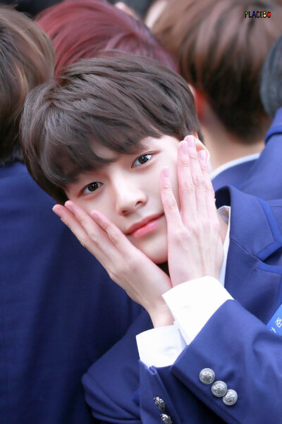 produce X 101
车俊昊 woollim