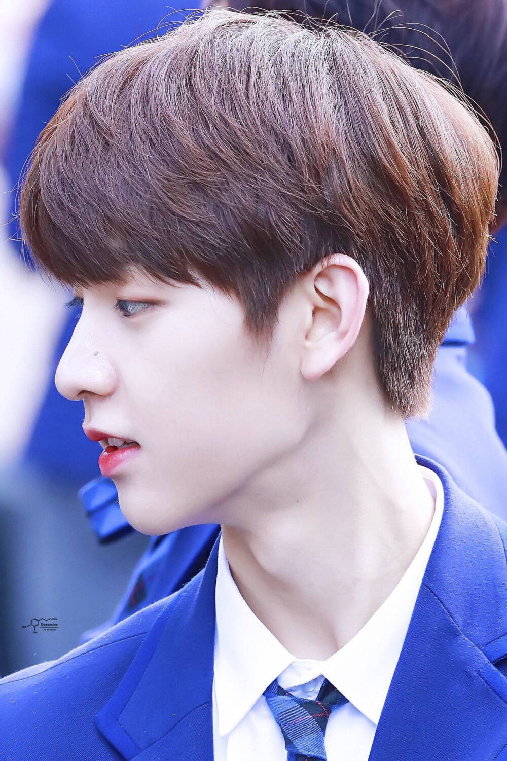 PRODUCE X 101
金东允 woollim
