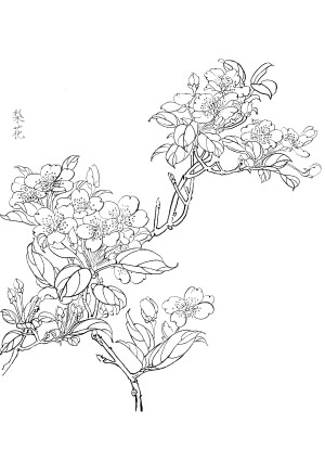 白描