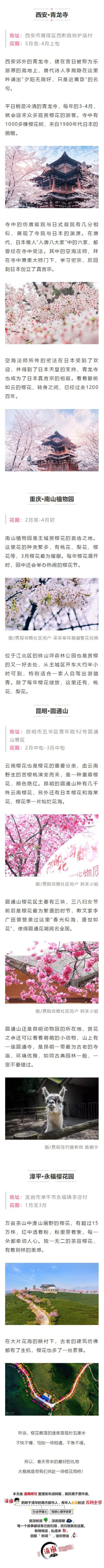 2019武汉大学赏樱政策发布！另奉上国内樱花地图，看这一篇就够了！